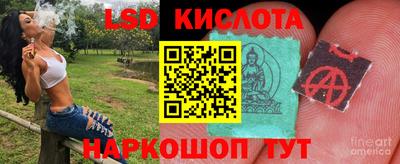 стафф Можга
